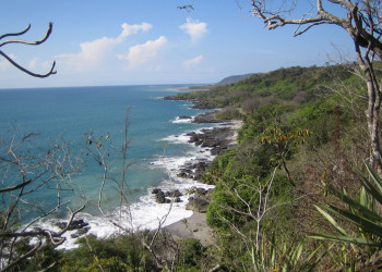 Монтезума, Пунтаренас провинция, Коста-Рика, фото № 40780 – фотографии Коста-Рики