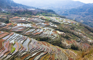 Рисовые террасы Хунхэ-Хани 15 – фотографии Китая