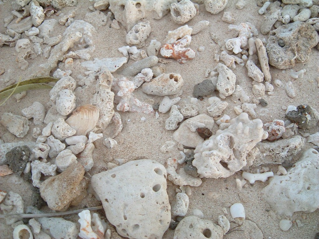 Сауф Си остров, Маманука группа островов, Фиджи, фото № 49083 – фотографии Фиджи