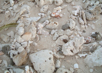 Сауф Си остров, Маманука группа островов, Фиджи, фото № 49083 – фотографии Фиджи