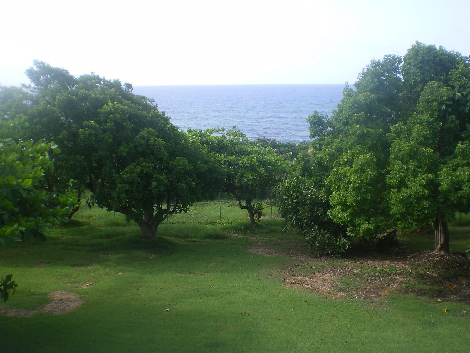 Гваделупа, фото № 3621 – фотографии Гваделупы