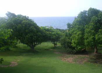 Гваделупа, фото № 3621 – фотографии Гваделупы