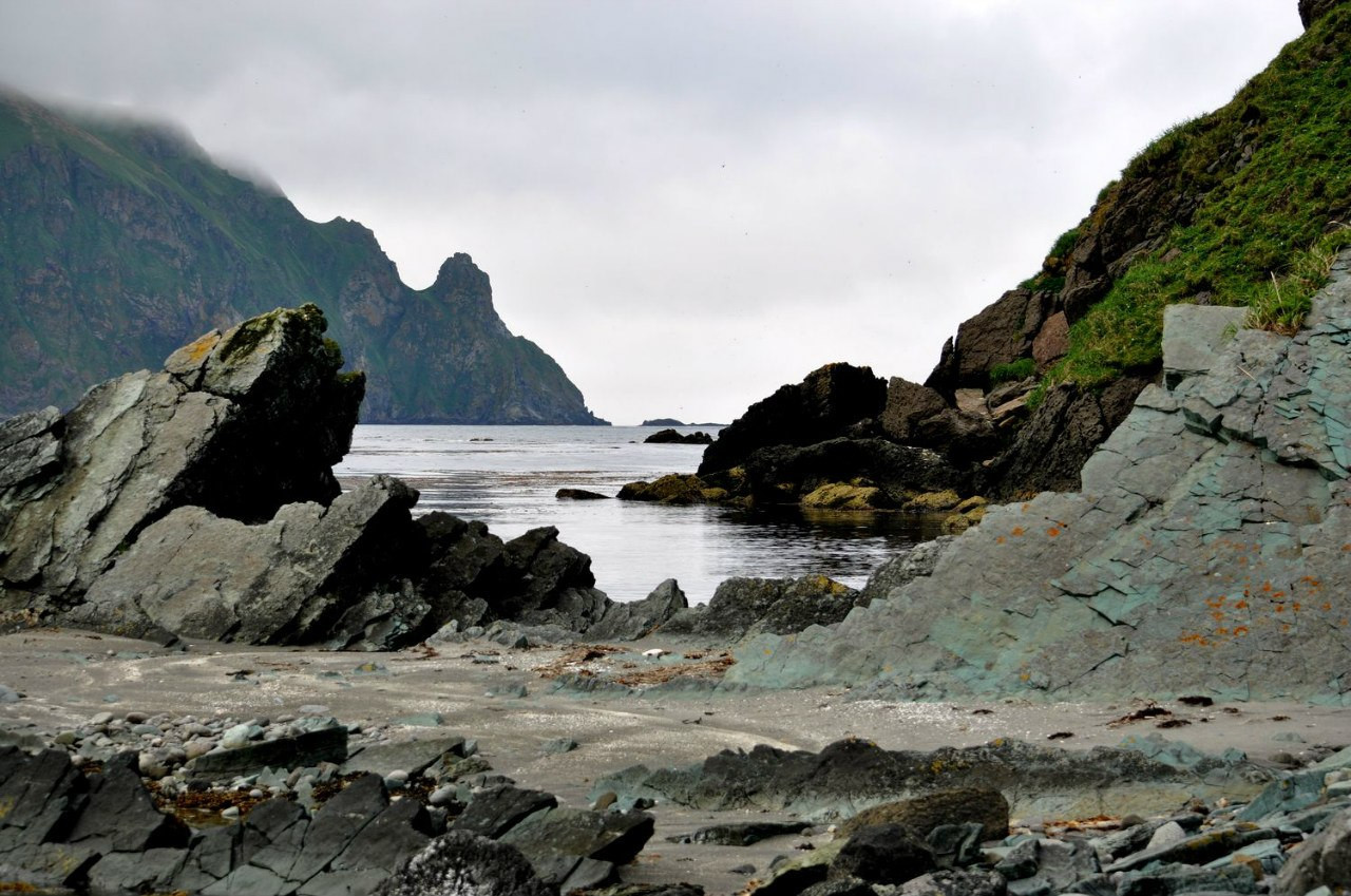 Командорские острова. Россия. Фото 27 – фотографии России