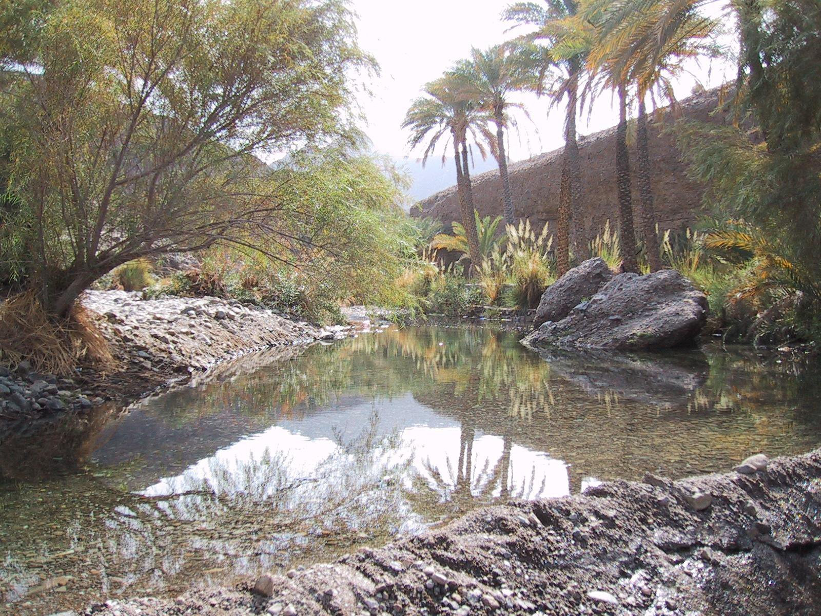 Рас-аль-Хайма, ОАЭ, фото № 61100 – фотографии ОАЭ