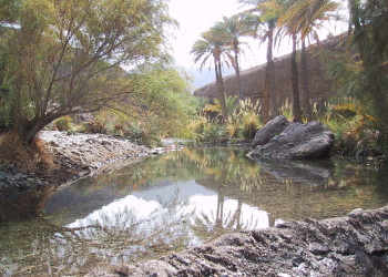 Рас-аль-Хайма, ОАЭ, фото № 61100 – фотографии ОАЭ