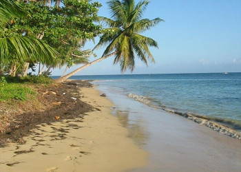 Самана, Доминикана, фото № 30645 – фотографии Доминиканы