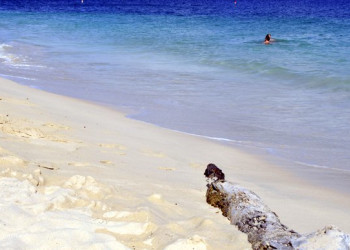 Самана, Доминикана, фото № 30631 – фотографии Доминиканы