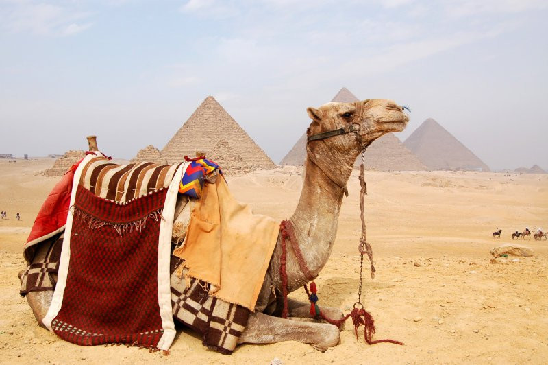 Каир, Египет, фото № 35061 – фотографии Египта