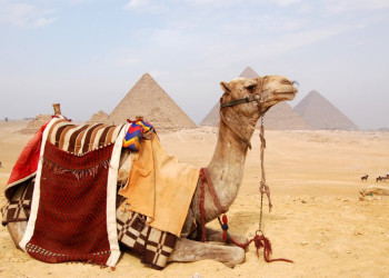 Каир, Египет, фото № 35061 – фотографии Египта