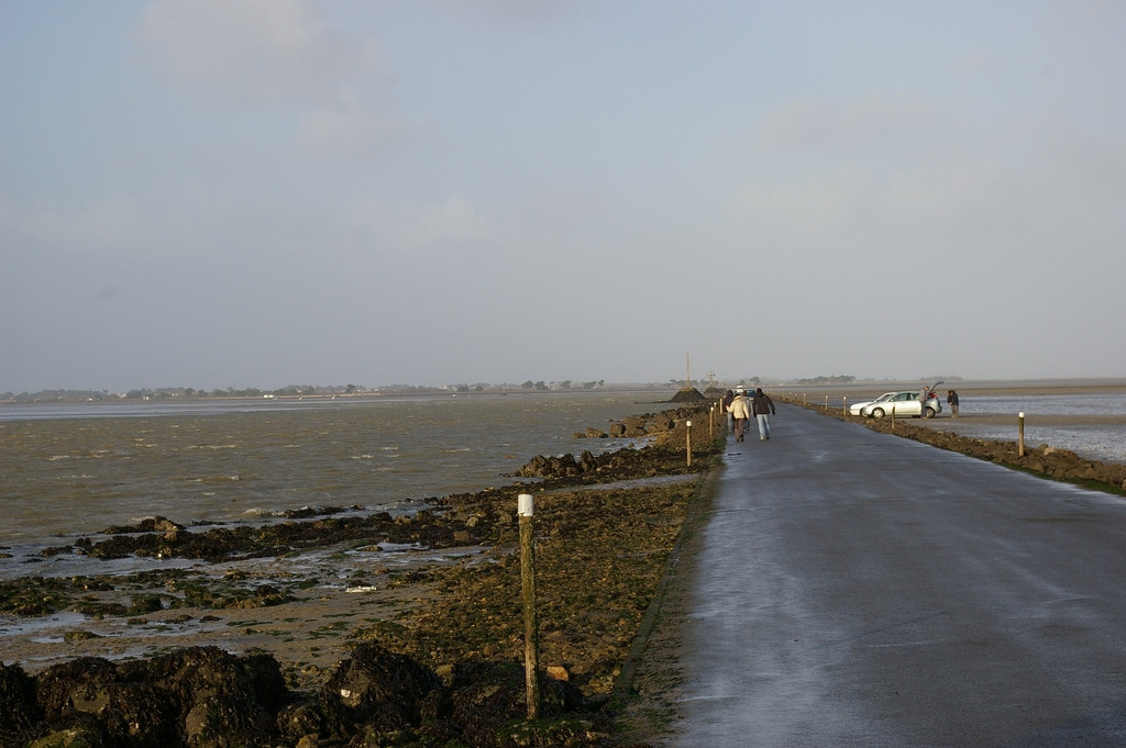 Дорога в Нуармутье, Франция. Фото 1 – фотографии Франции