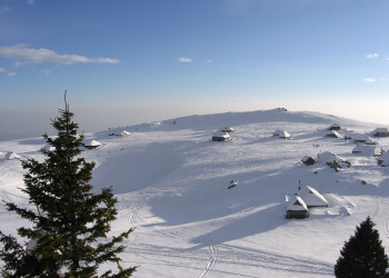 Велика Планина, Словения, фото № 56966 – фотографии Словении