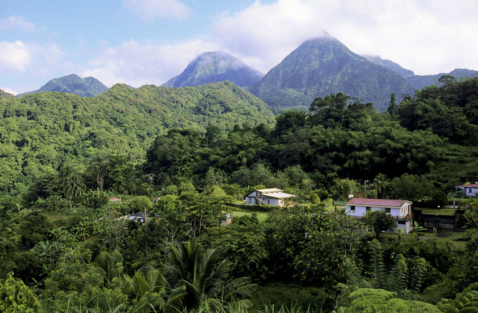 Туристическая тропа Рут-де-ла-Трас (Route de la Trace) – фотографии Мартиники