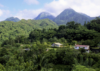 Туристическая тропа Рут-де-ла-Трас (Route de la Trace) – фотографии Мартиники