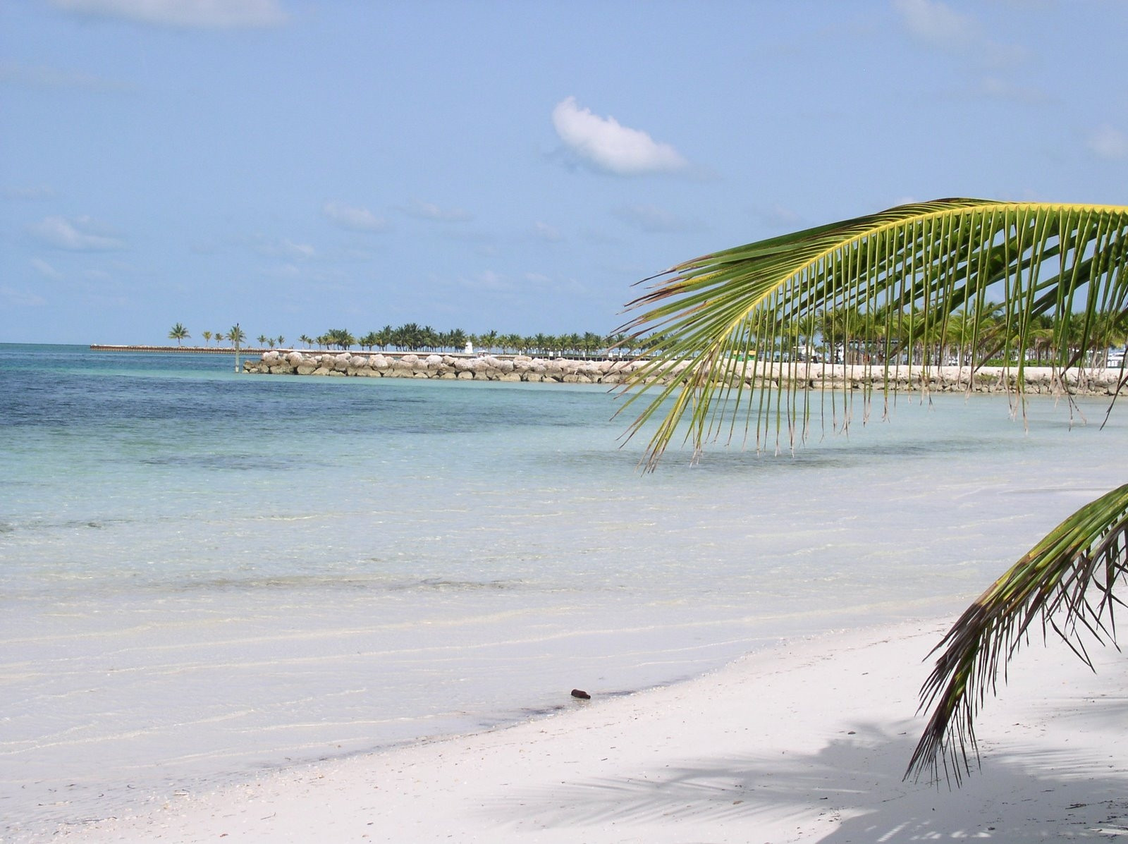 Пляж на острове Бимини, Багамские острова. Фото 6 – фотографии Багамских островов