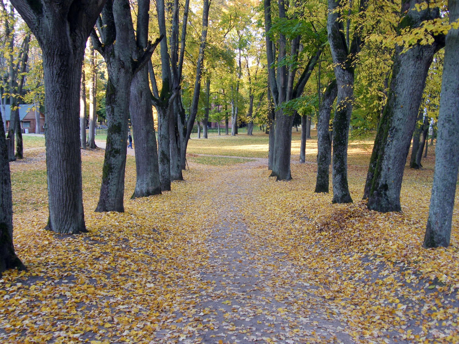 Осень в Бирштонасе – фотографии Литвы
