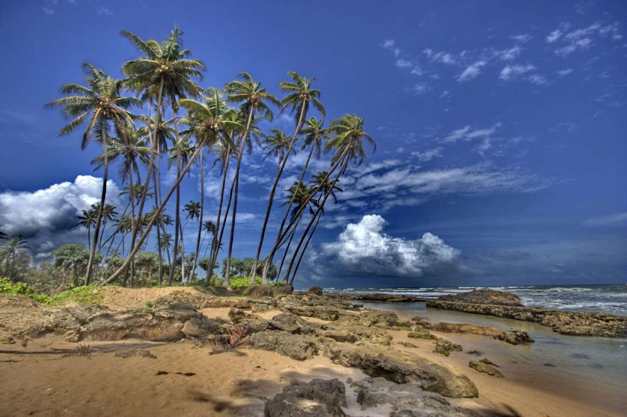 Галле, Шри-Ланка, фото № 50935 – фотографии Шри-Ланки