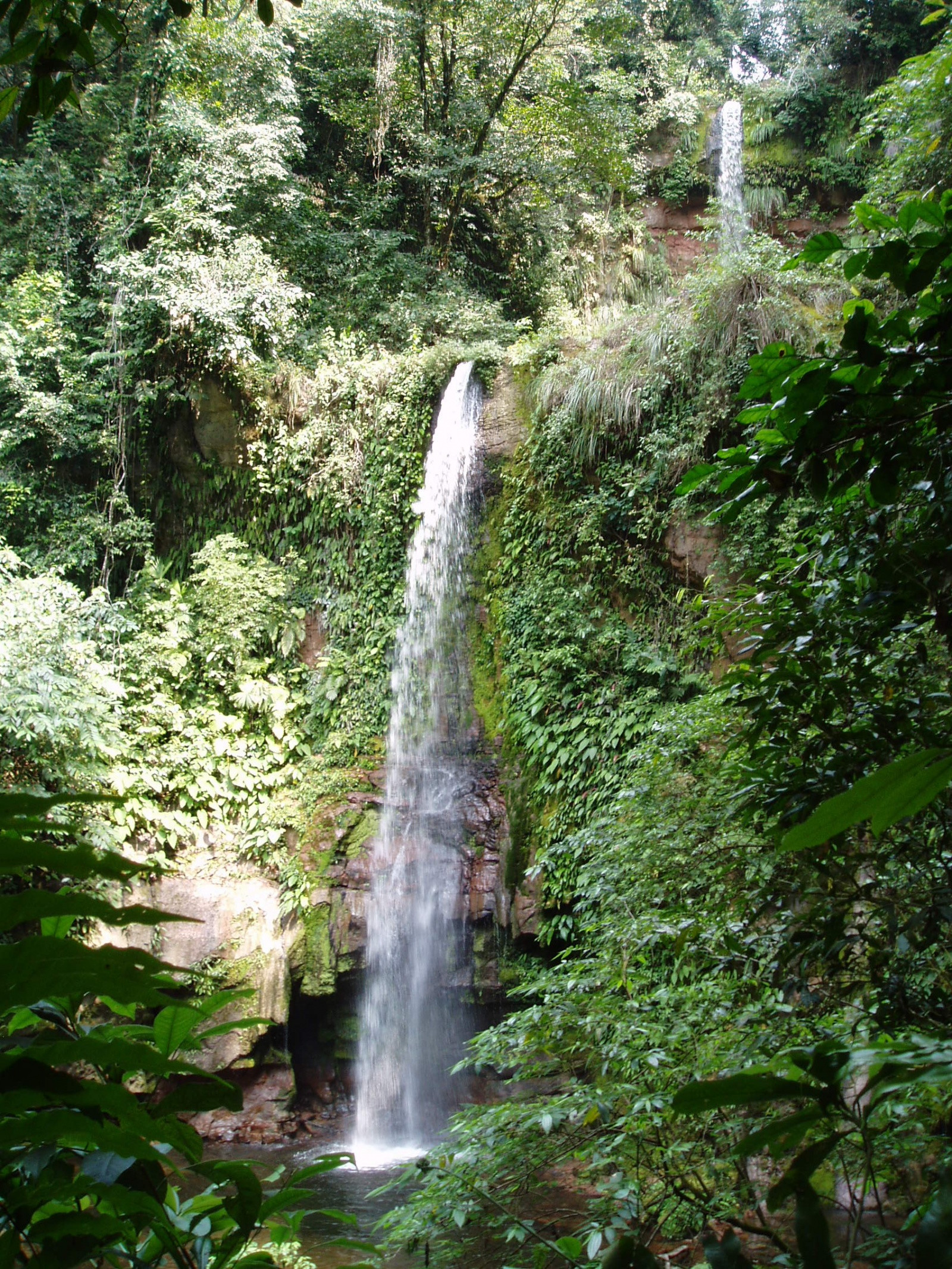 Водопад в национальном парке Амборо – фотографии Боливии