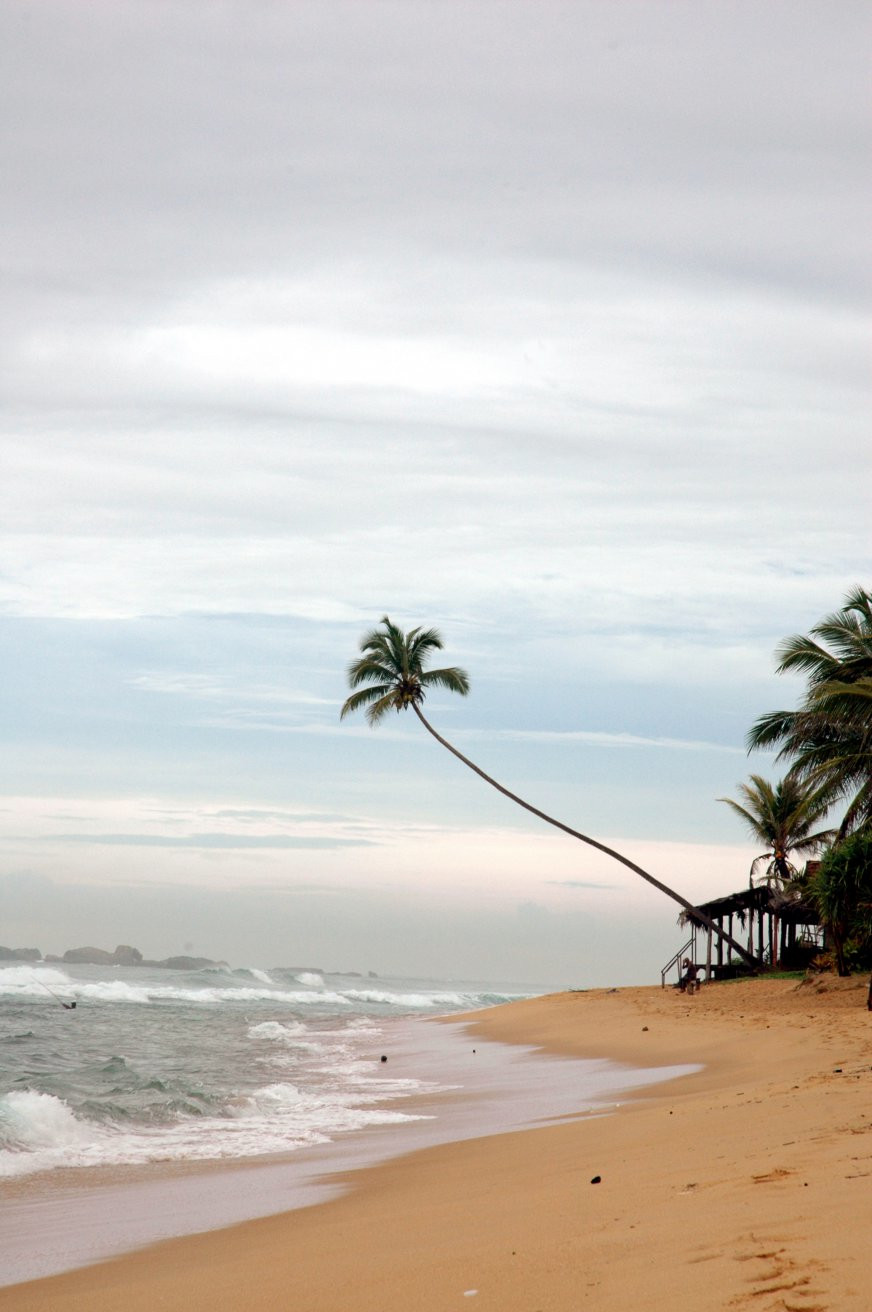 Хиккадува, Шри-Ланка, фото № 52548 – фотографии Шри-Ланки