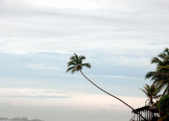 Хиккадува, Шри-Ланка, фото № 52548 – фотографии Шри-Ланки