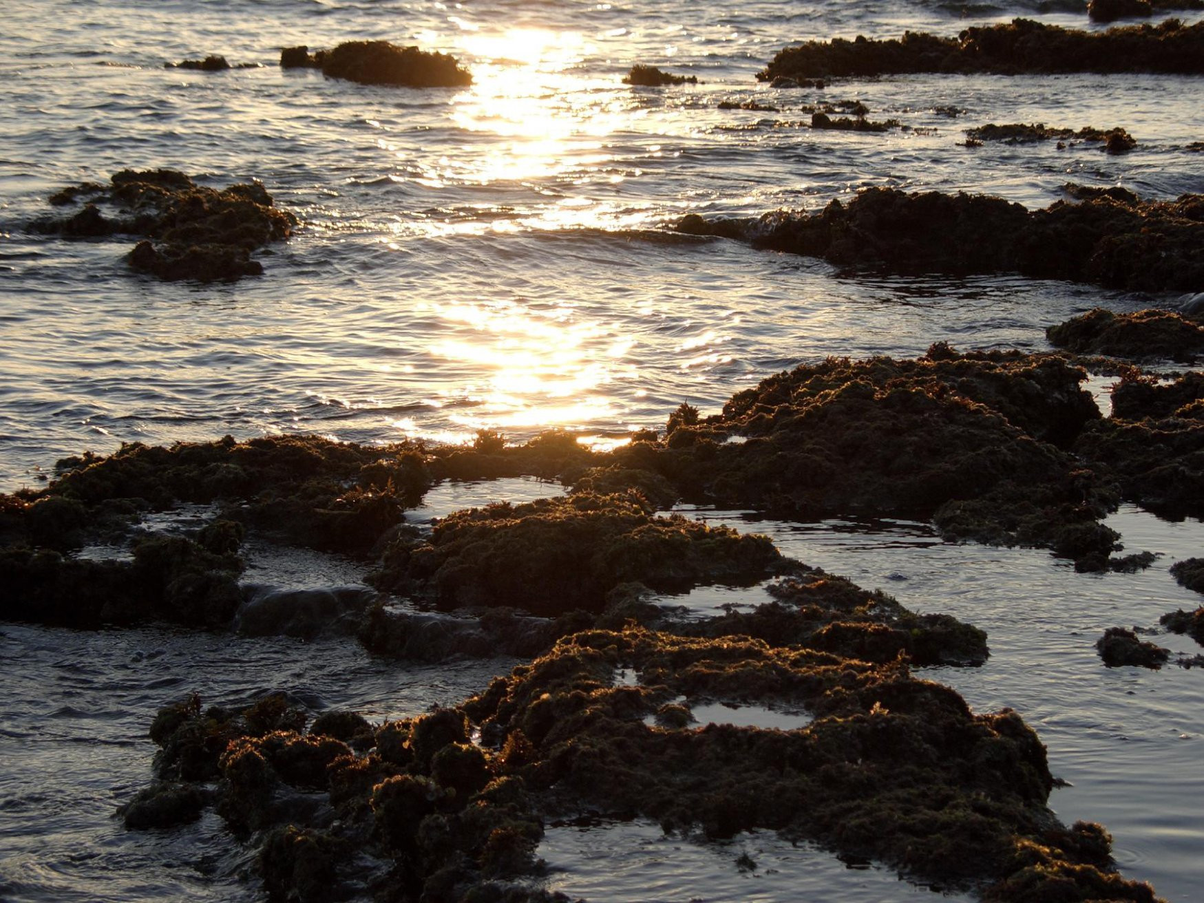 Пафос, Кипр, фото № 38475 – фотографии Кипра