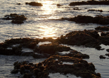 Пафос, Кипр, фото № 38475 – фотографии Кипра