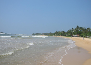 Бентота, Шри-Ланка, фото № 50669 – фотографии Шри-Ланки