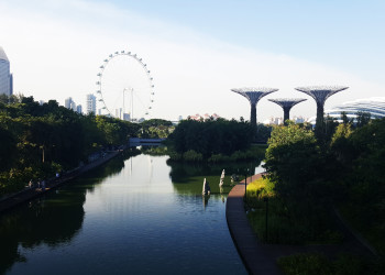 Парк Gardens by the Bay в Сингапуре. Фото 4 – фотографии Сингапура