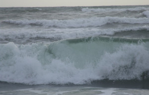 Ваддува, Шри-Ланка, фото № 50816 – фотографии Шри-Ланки