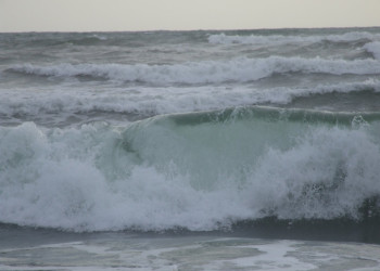 Ваддува, Шри-Ланка, фото № 50816 – фотографии Шри-Ланки