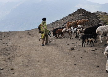 Горный национальный парк – фотографии Эфиопии