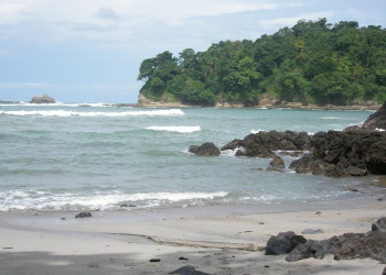 Мануэль Антонио, Пунтаренас провинция, Коста-Рика, фото № 40634 – фотографии Коста-Рики