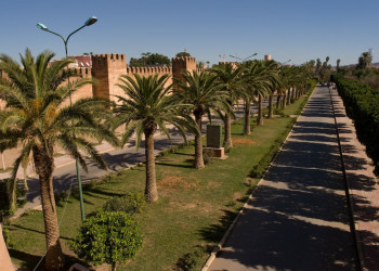 Тарудант, Марокко, фото № 8082 – фотографии Марокко