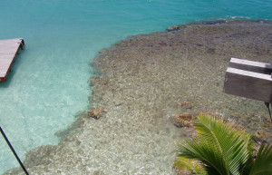 Сен-Бартелеми, фото № 1442 – фотографии Сен-Бартелеми