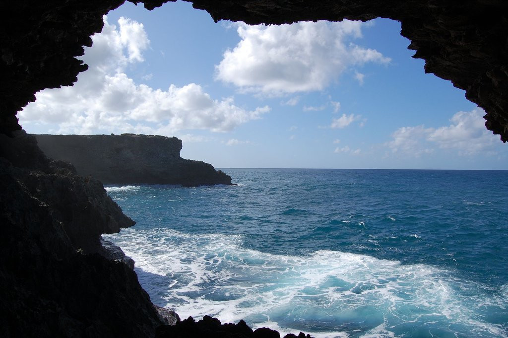 Animal Flower Cave, Barbados – фотографии Барбадоса