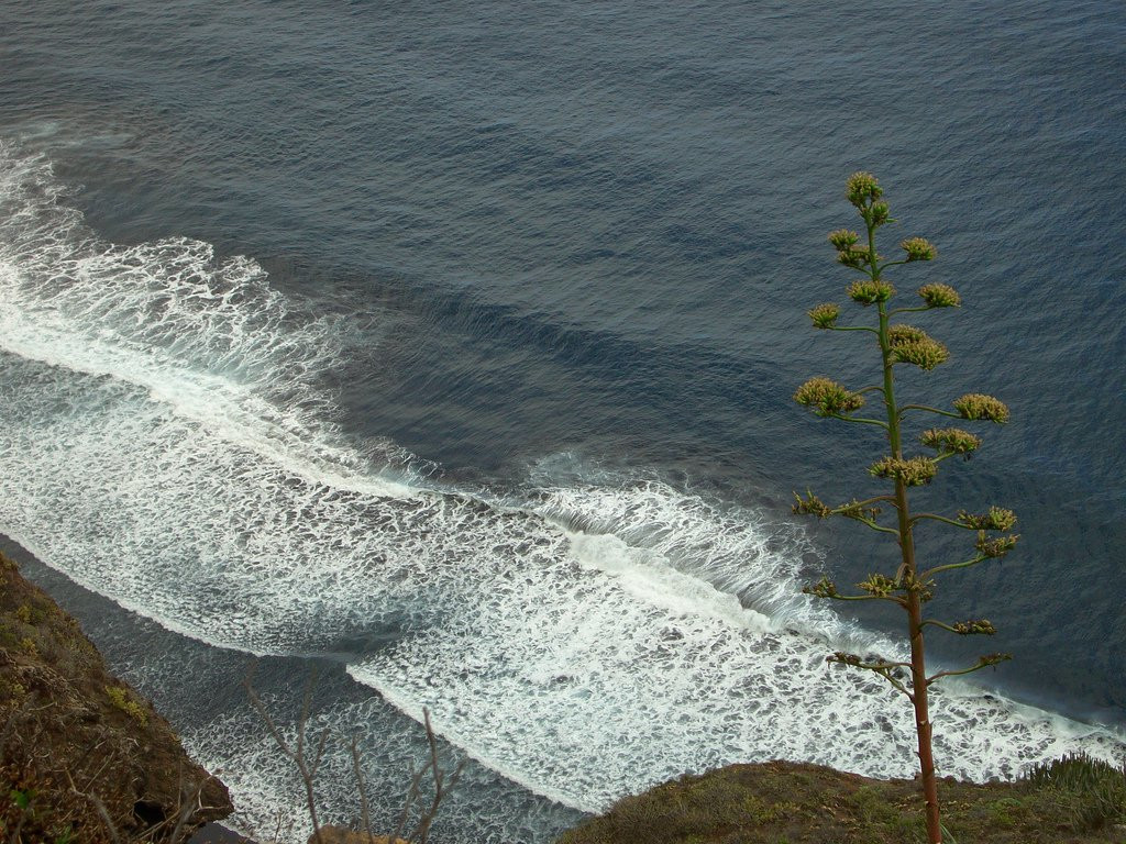 Пунтальяна, Ла-Пальма остров, Канарские острова, фото № 32008 – фотографии Канарских островов