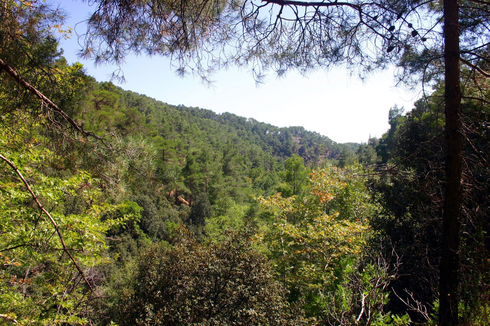 Платрес, Кипр, фото № 38716 – фотографии Кипра
