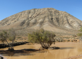 Тиндайя, Фуэртевентура остров, Канарские острова, фото № 34451 – фотографии Канарских островов