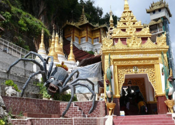 Паук у входа в пещеры – фотографии Мьянмы