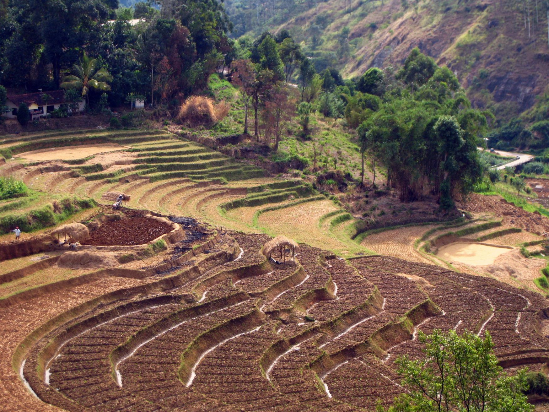Нувара Элия, Шри-Ланка, фото № 52094 – фотографии Шри-Ланки