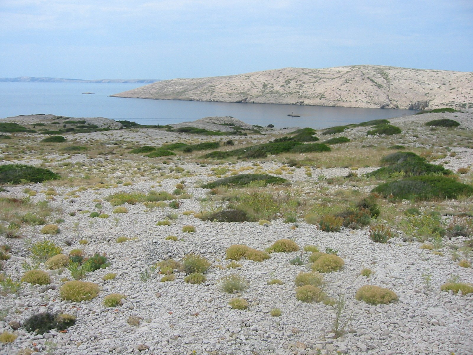 Берега на острове Раб, Хорватия. Фото 16 – фотографии Хорватии