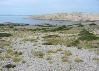 Берега на острове Раб, Хорватия. Фото 16 – фотографии Хорватии