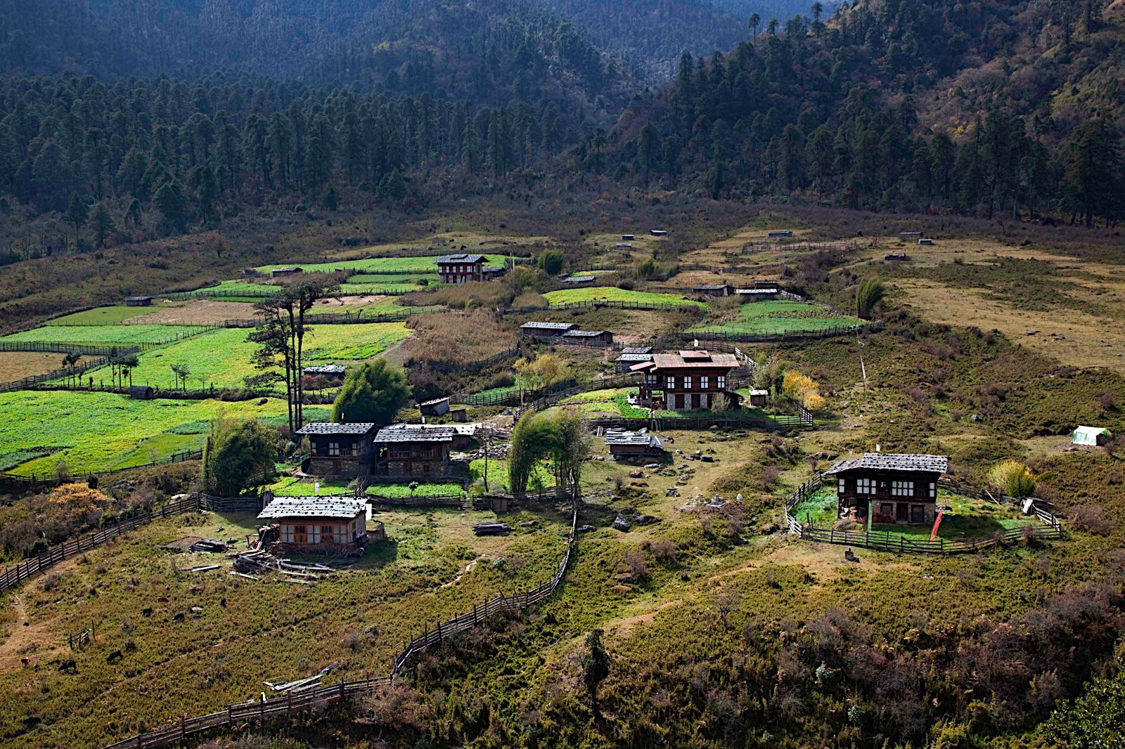 Бутан, фото № 4735 – фотографии Бутана