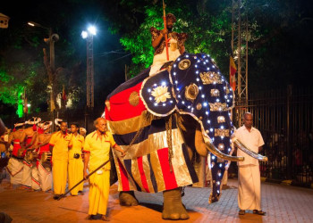 Фестиваль Эсала Перехера (Esala Perahera). Фото 1 – фотографии Шри-Ланки