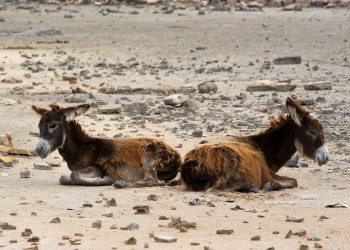 Turks Islands – фотографии Тёркс и Кайкос