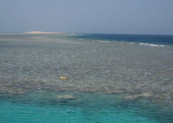 Хургада, Египет, фото № 35513 – фотографии Египта