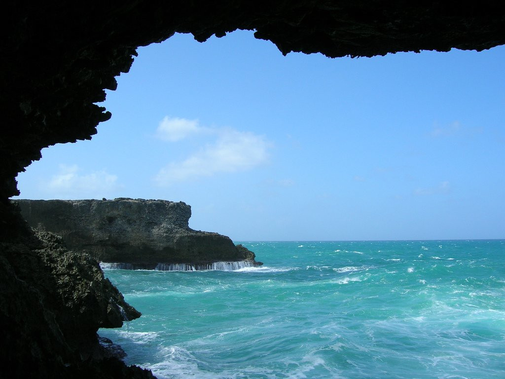 Animal Flower Cave, Barbados – фотографии Барбадоса