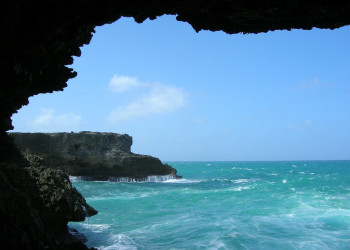 Animal Flower Cave, Barbados – фотографии Барбадоса