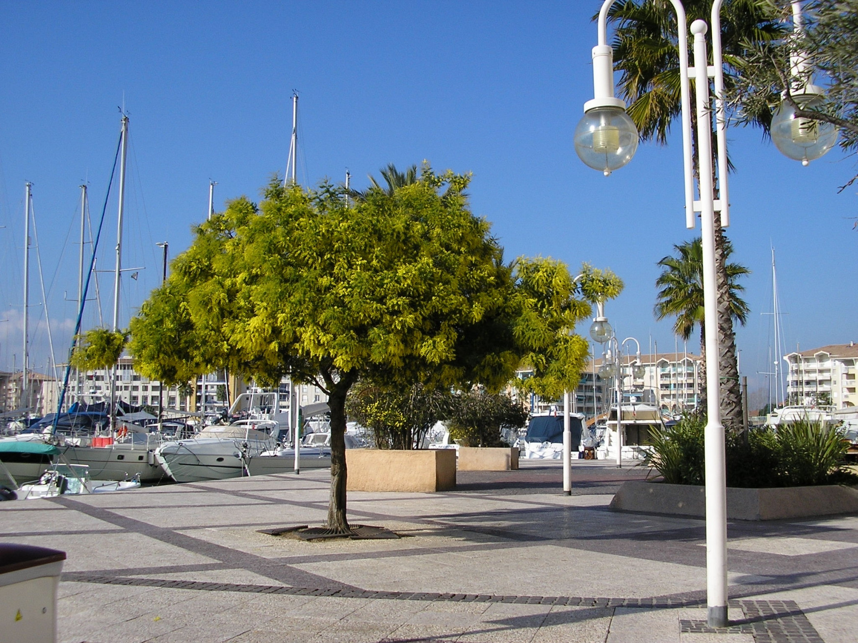 Набережная в Фрежюсе, Франция – фотографии Франции