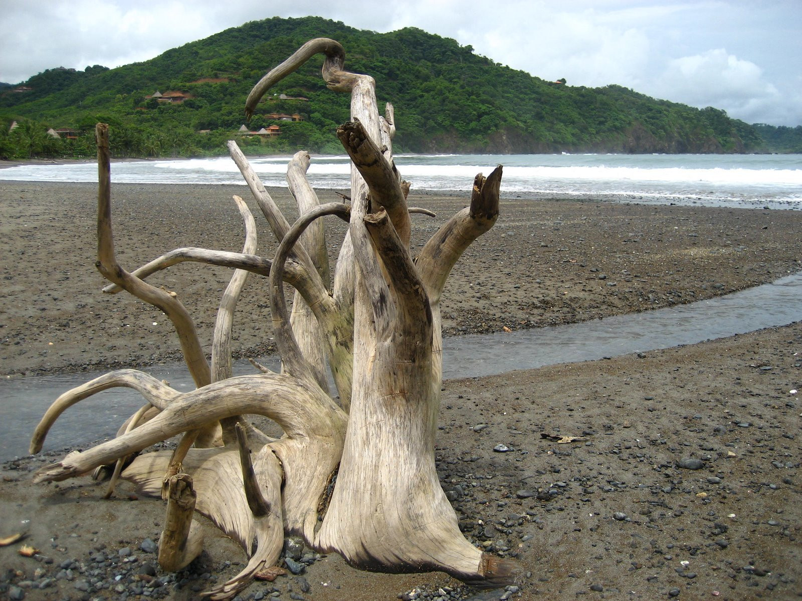 Ислита, Гуанакасте провинция, Коста-Рика, фото № 39389 – фотографии Коста-Рики