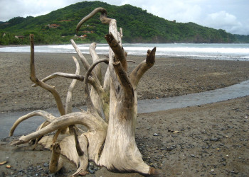 Ислита, Гуанакасте провинция, Коста-Рика, фото № 39389 – фотографии Коста-Рики